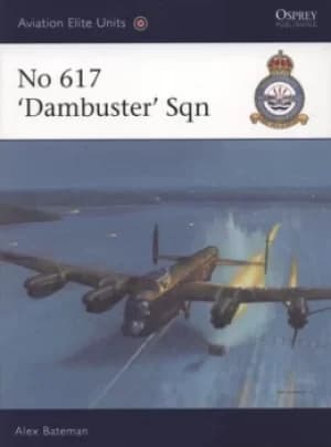No 617 Dambusters Sqn by Alex Bateman