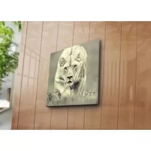 4545NAT-21 Multicolor Decorative Canvas Painting