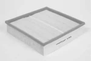 Champion CAF100716P Air Filter Insert U716