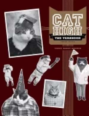 cat high the yearbook