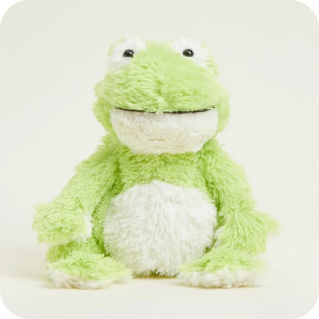 Warmies Heatable Frog Novelty Gift Sets One size Green 38213915000