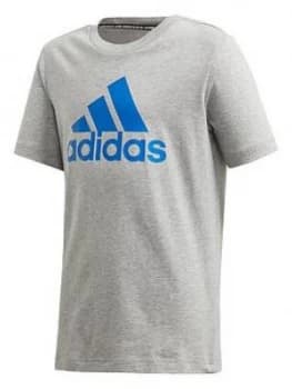 Adidas Youth Badge Of Sports Tee - Grey Blue