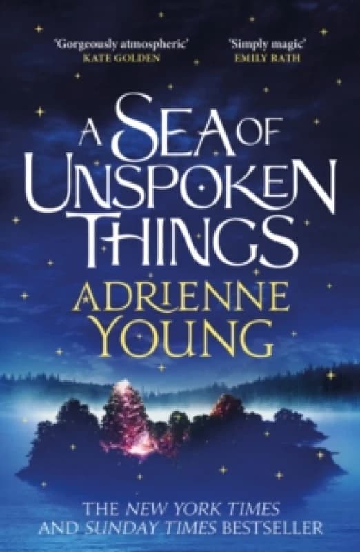 A Sea of Unspoken Things : a spellbinding mystery to lose yourself in Paperback / softback