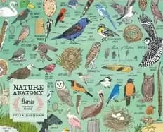 nature anatomy birds puzzle 500 pieces
