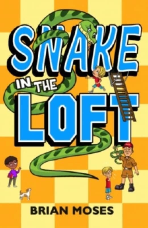 Snake In The Loft Paperback / softback