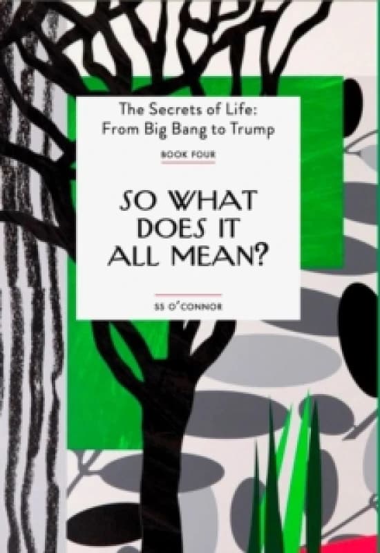 So What Does It All Mean? Paperback / softback
