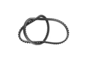 DAYCO V Belt MERCEDES-BENZ,BMW,OPEL 10A1000C 6376165,6376385,7180684 Fenner Belt 7184180,11231279479,11232241172,11232243045,11232243046,B0015402