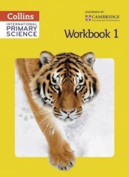 International Primary Science Workbook 1 by Phillipa Skillicorn