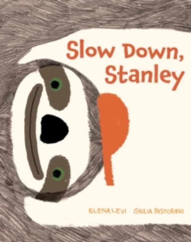 Slow Down, Stanley Hardback