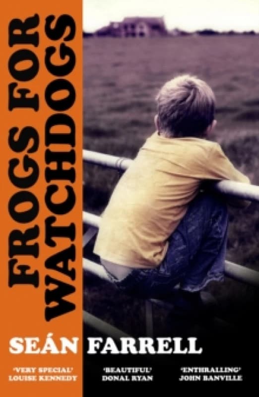 Frogs for Watchdogs : 'A stunning novel that will live long in my imagination DONAL RYAN Paperback / softback