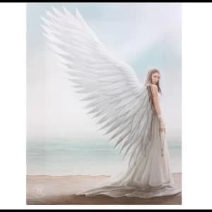 Small Spirit Guide Canvas Picture by Anne Stokes