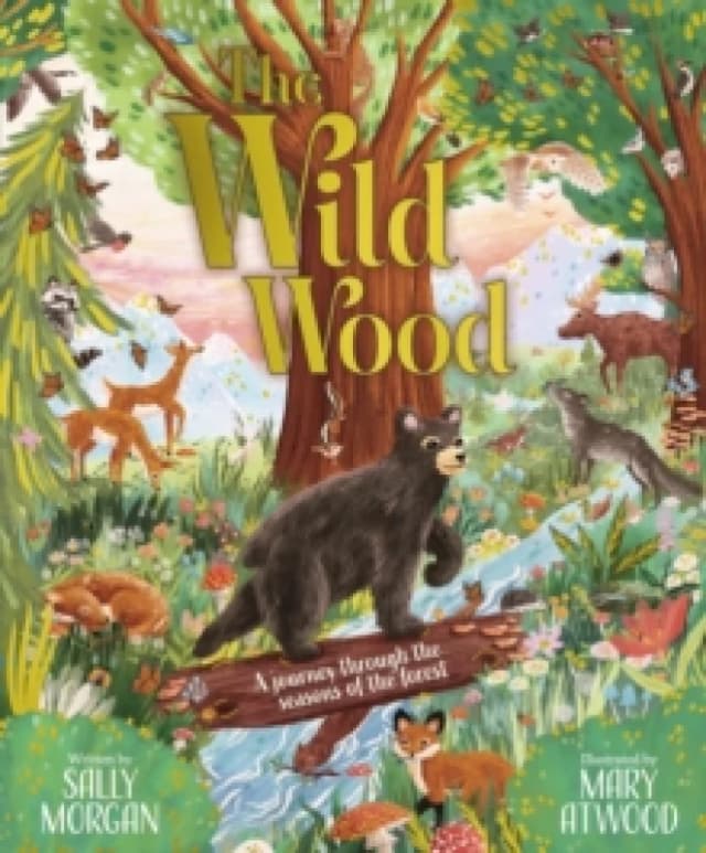 The Wild Wood Hardback