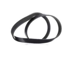 RIDEX V-ribbed belt 305P0336 Serpentine belt,Auxiliary belt FORD,RENAULT,MITSUBISHI,MONDEO II Kombi (BNP),MONDEO II (BAP),MONDEO II Stufenheck (BFP)