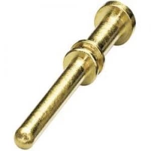 Coninvers 1605639 SF 7QP2000 Gold