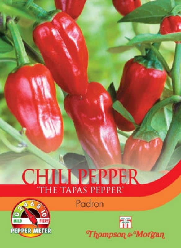 Thompson & Morgan Chilli Pepper Padron 1 Seed Packet (10 Seeds)