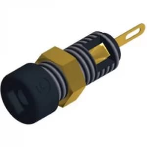 SKS Hirschmann CO MBI 1 Au Mini jack socket Socket, vertical vertical Pin diameter: 2mm Black