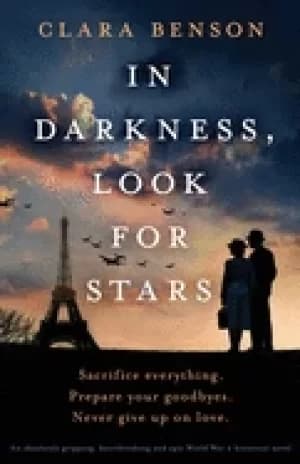 in darkness look for stars an absolutely gripping heartbreaking and epic w