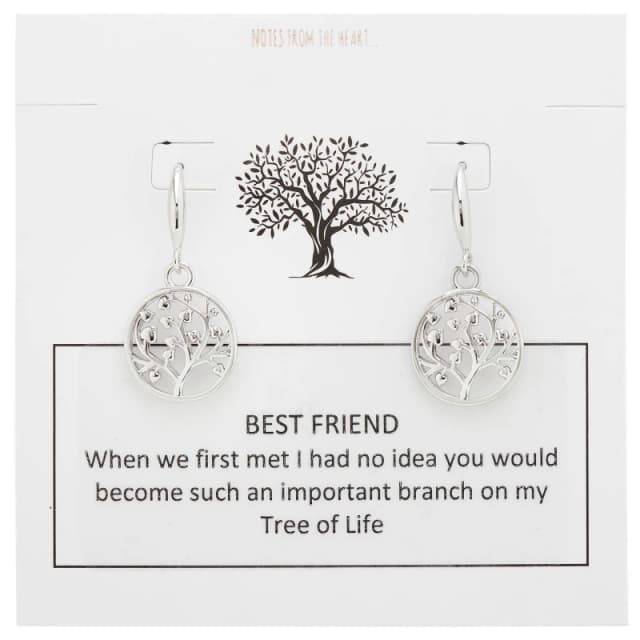 Notes From The Heart NFTH TOL Best Friend Earrings Silver female one size