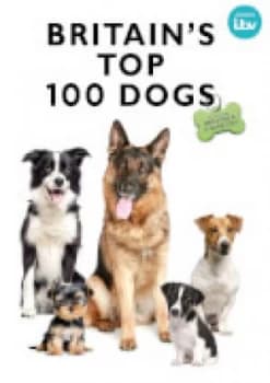 Britains Top 100 Dogs