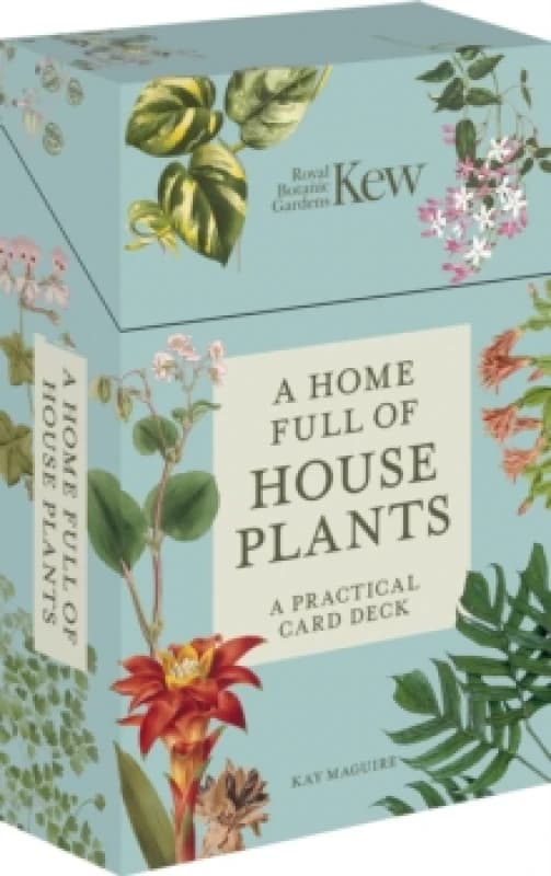 A Home Full of House Plants. Cards. By Kay Maguire Books