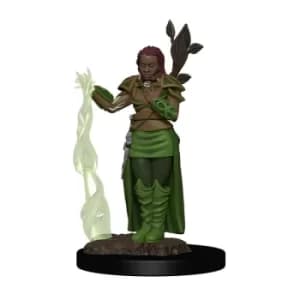 D&D Icons of the Realms Premium Miniature pre-painted Human Female Druid Case (6)