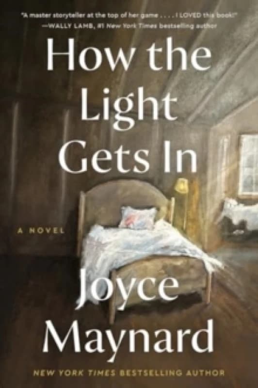 How the Light Gets In. Paperback. By Joyce Maynard Books