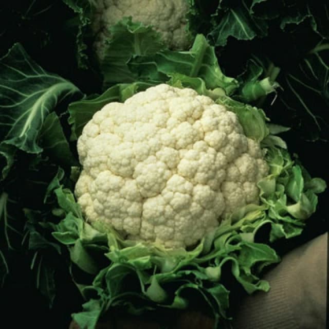 Thompson & Morgan Cauliflower Walcheren Winter 5 1 Seed Packet (50 Seeds)