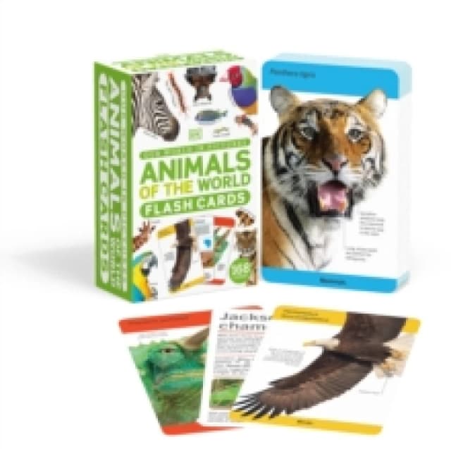 DK Our World in Pictures Animals of the World Flash Cards Book Multi unisex