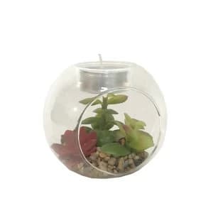 Succulent In Glass Terrarium with TeaLight Holder