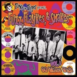 Various Artists - Fuzz. Flaykes And Shakes Limited Red Vinyl