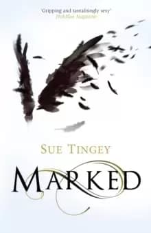 Marked : the first in the magical The Soulseer Chronicles
