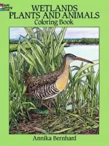 Wetlands Plants and Animals Colouring Book
