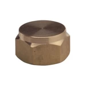 Plumbsure Threaded Blanking Cap Dia9.5mm