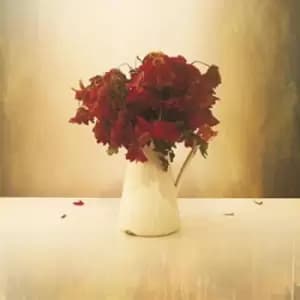 The Cardiac Hotel by The Lion & the Wolf CD Album