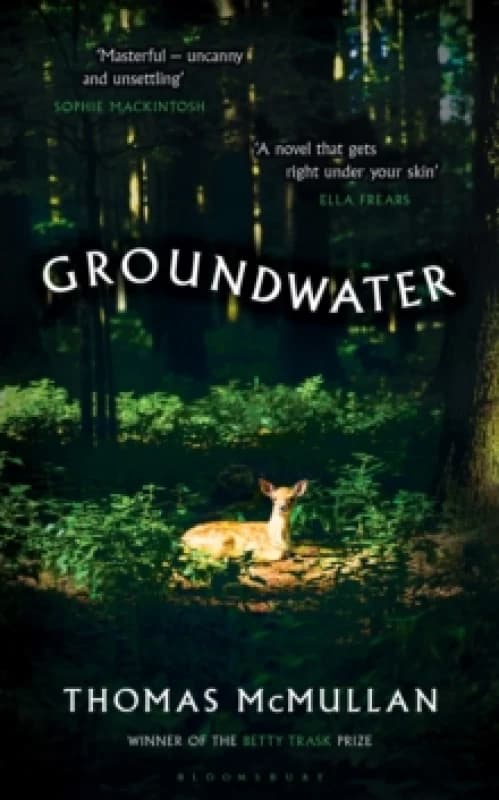Groundwater : Complex, chilling, masterful' Financial Times Hardback