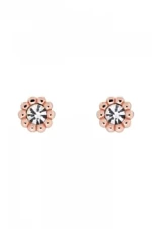 Ted Baker Perella Crystal Nano Stud Earring TBJ2802-24-02