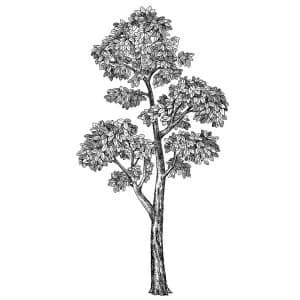 Fine Decor Wall Pops Mulberry Tree Wall Art Kit