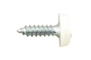 Number Plate Screw White No 10 x 3/4 Pk 100 Connect 31542