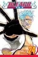 bleach vol 24