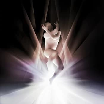 The Smashing Pumpkins - Cyr Purple Orchid Vinyl