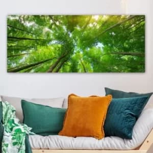 YTY211999801_50120 Multicolor Decorative Canvas Painting