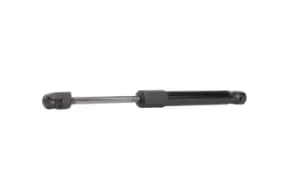 RIDEX Tailgate strut AUDI 219G0081 4B5827552A,4B5827552C,4B5827552D 4B5827552D