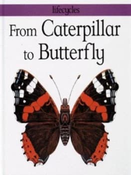 From Caterpillar to Butterfly by Gerald Legg and Carolyn Franklin and David Salariya Hardback