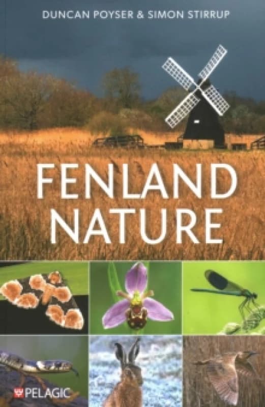 Fenland Nature Paperback / softback