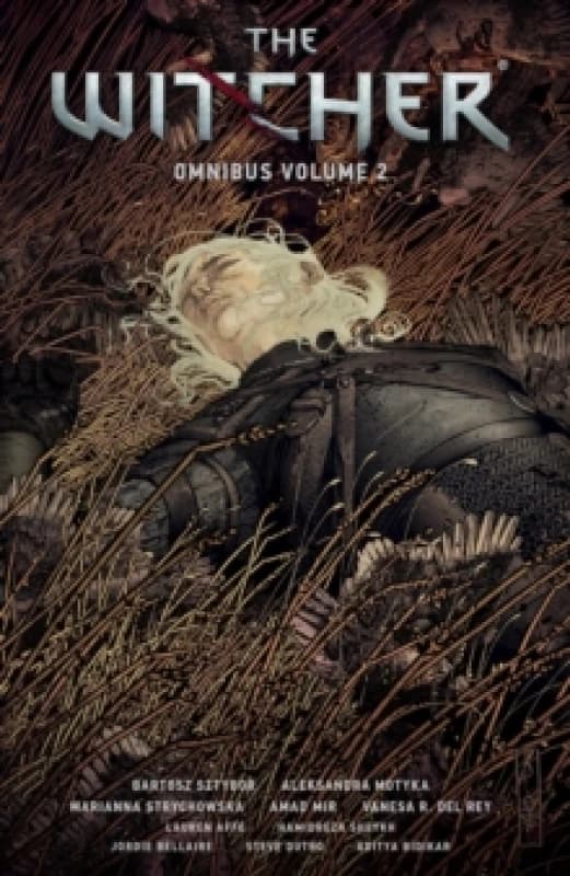 The Witcher Omnibus Volume 2 Paperback / softback