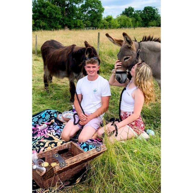 Activity Superstore Donkey Picnic for Two at Dashing Donkeys None unisex One Size