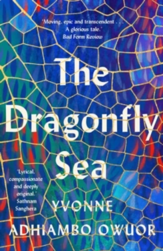 The Dragonfly Sea Paperback / softback