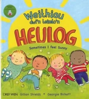 Weithiau Dwin Teimlon Heulog/sometimes I Feel Sunny by Gillian Shields Book