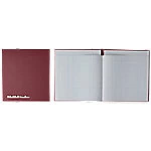 Guildhall Cash Analysis Book 48/6-12Z Petty Cash Rulings 6 Debit, 12 Credit Plus Narrative 80 Pages 40 Sheets