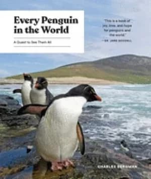 every penguin in the world a quest to see them all